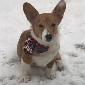 Meet your Posher, Michelle